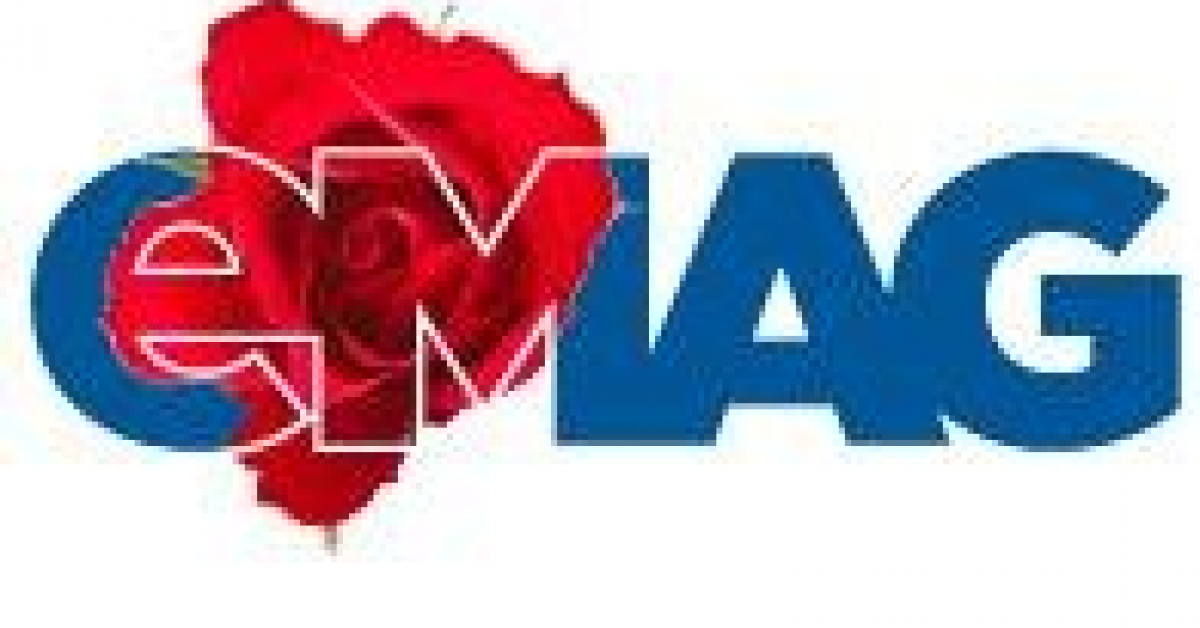 eMAG se pregateste de o crestere cu 40% mai mare decat in 2013!