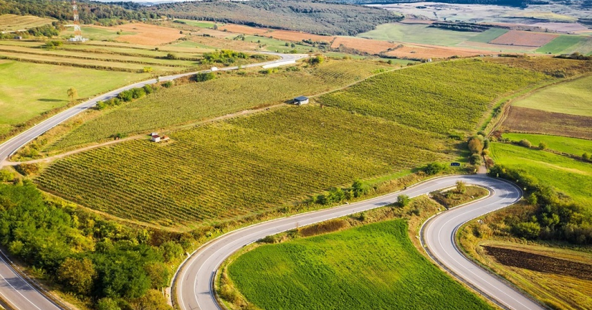 Casa de vinuri Zaig și-a dublat veniturile anul trecut, iar pentru 2021 estimează o creștere de 40-50%