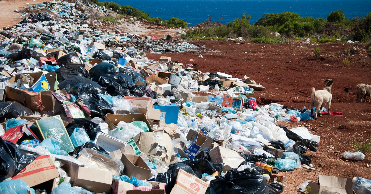 Analiză Frames: Reciclarea și gestionarea deșeurilor, o fațadă sub care se importă gunoi. În România, industria reciclării există mai mult pe hârtie sau în spoturile publicitare