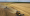 Holde Agri Invest achiziționează o fermă în județul Dâmbovița și ajunge la o suprafață totală de aproape 12.000 de hectare