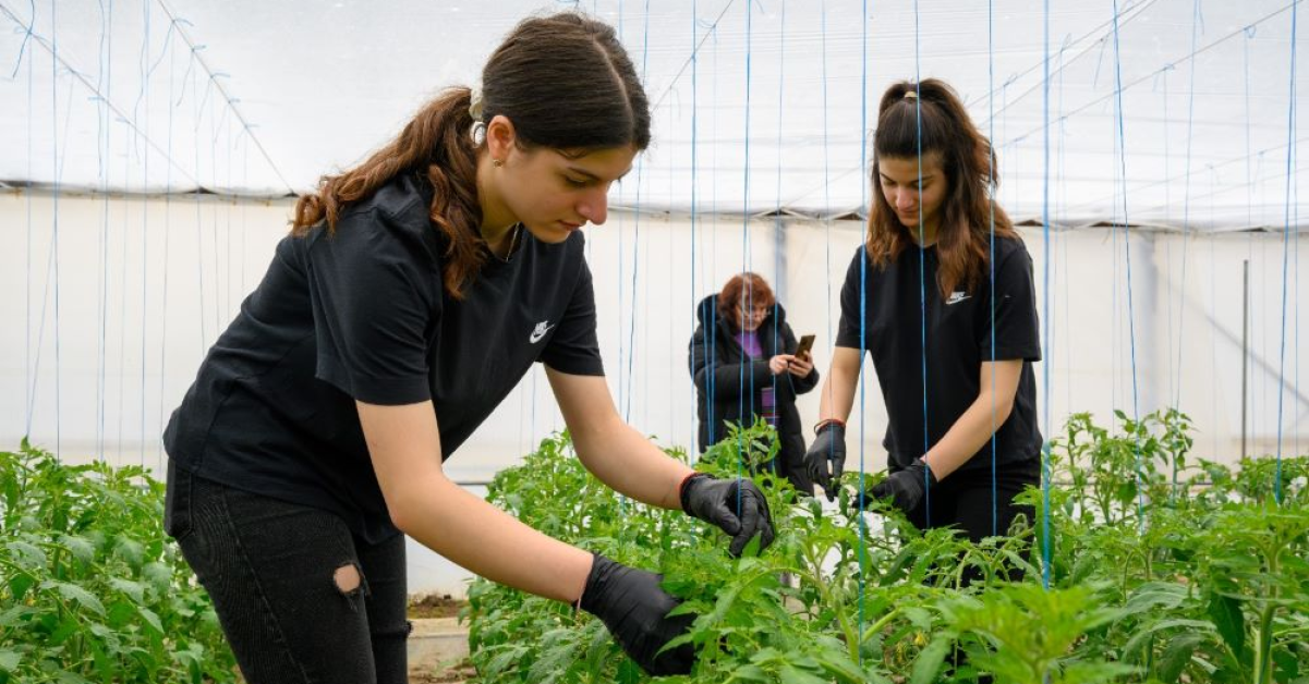 Viitorul agriculturii în România: programul prin care elevii pot face practică alături de fermieri sau companii