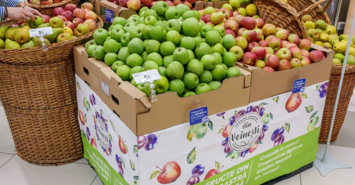 Carrefour: Frigiderul românilor luat la bani mărunți. Cum ar trebui să arate o farfurie sănătoasă și completă