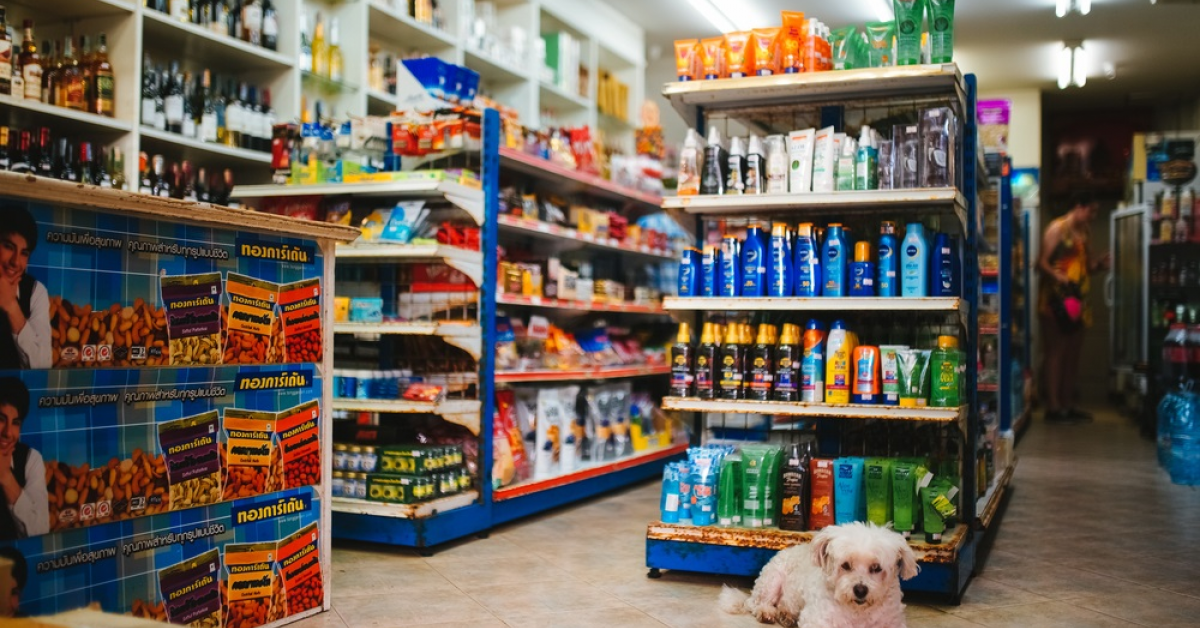 Oportunități în pandemie: care au fost nișele din retail cu magazinele asaltate și programul prelungit 