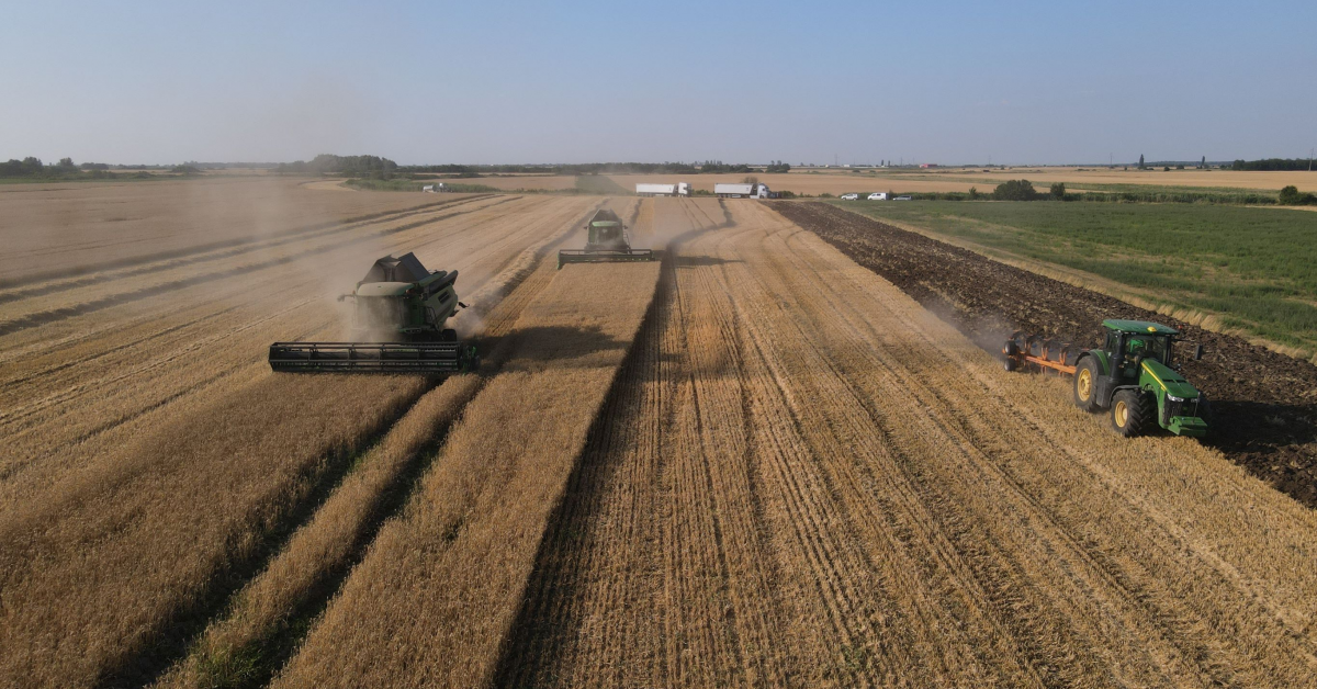 RDF Arad a investit 5,7 milioane de euro în depozitare, tehnologie și utilaje