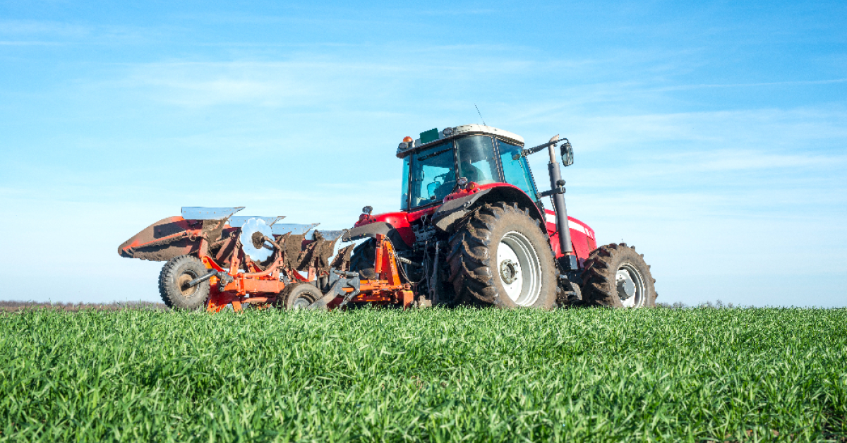 Tarfin vrea să investească 10 milioane de euro în agribusiness-ul românesc