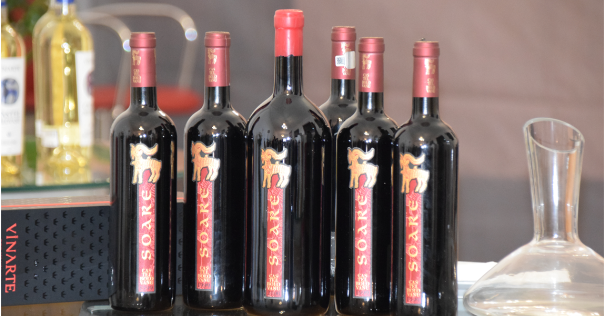 Producătorul de vin Vinarte își modernizează cele două crame și dezvoltă zona de enoturism. Rodica Căpățână: ,,Singurul lucru care ne lipsește cu desăvârșire este brandul de țară\'\'
