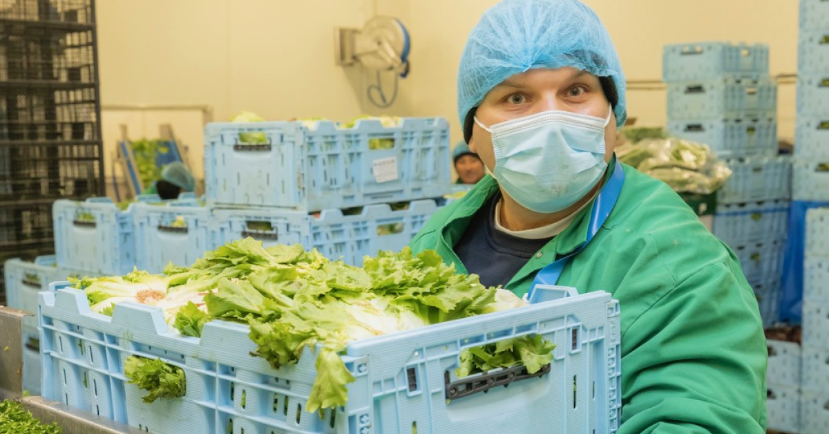 TRANZACȚIE | Fabrica de salate Eisberg a fost cumpărată de un grup polonez