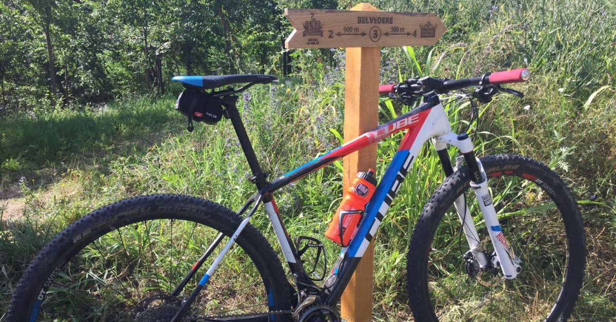 Kaufland a inaugurat un traseu pentru biciclete in Parcul National Vacaresti