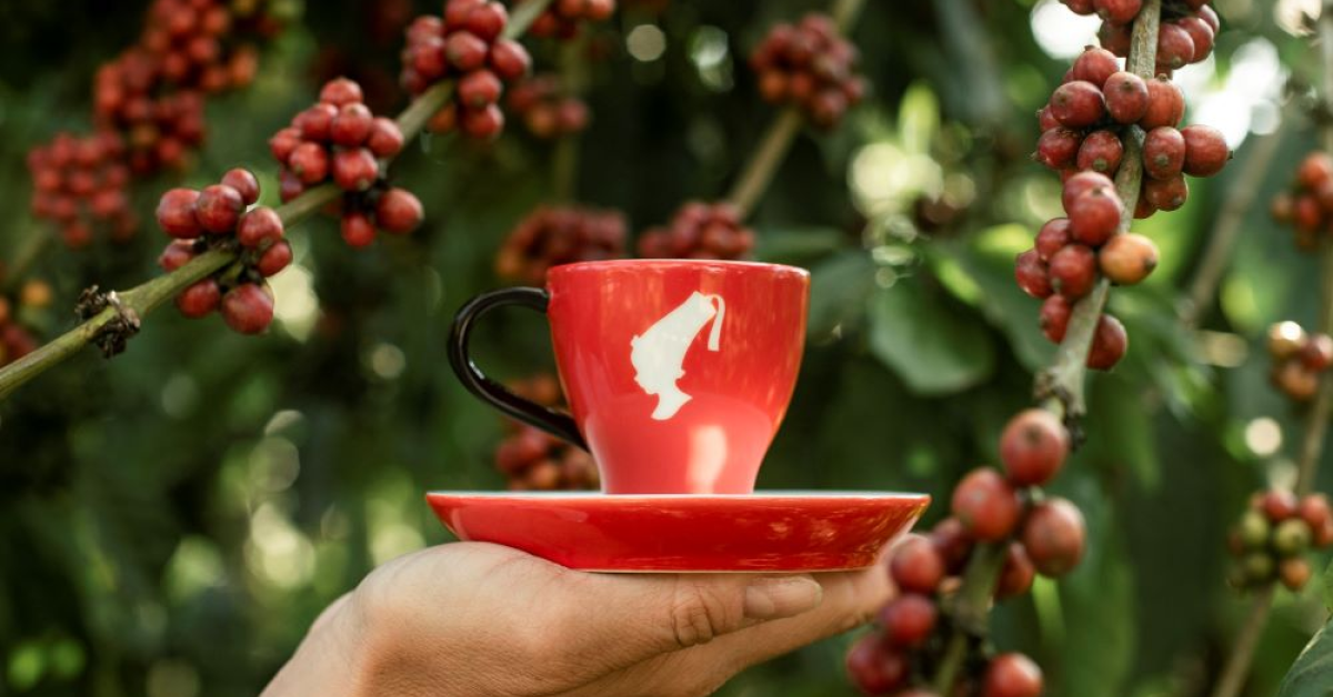Cafea Julius Meinl gratuită de Ziua Internațională a Cafelei: unde o găsim 