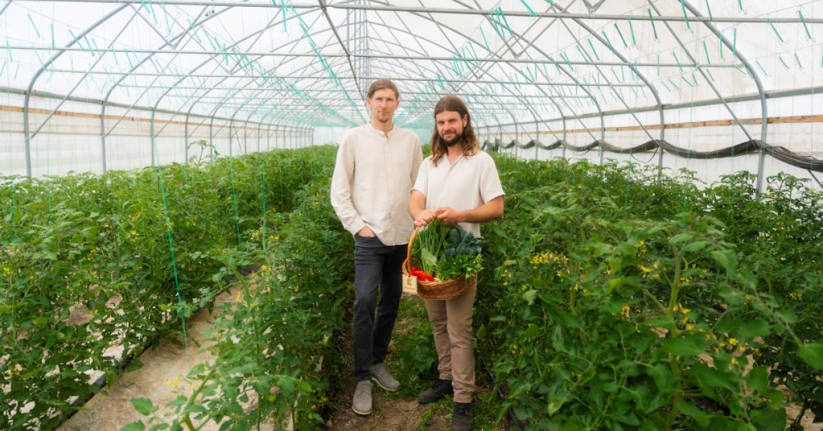 Ferma Sol și Suflet, dezvoltată de Institutul de Cercetare în Permacultură din România, a ajuns la un model de producție autosustenabil