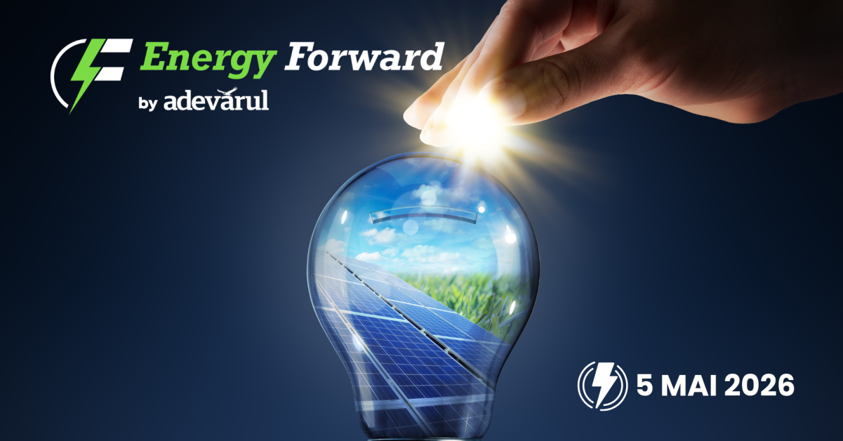 Cum pot schimba politicile publice impactul prețului energiei asupra economiei 