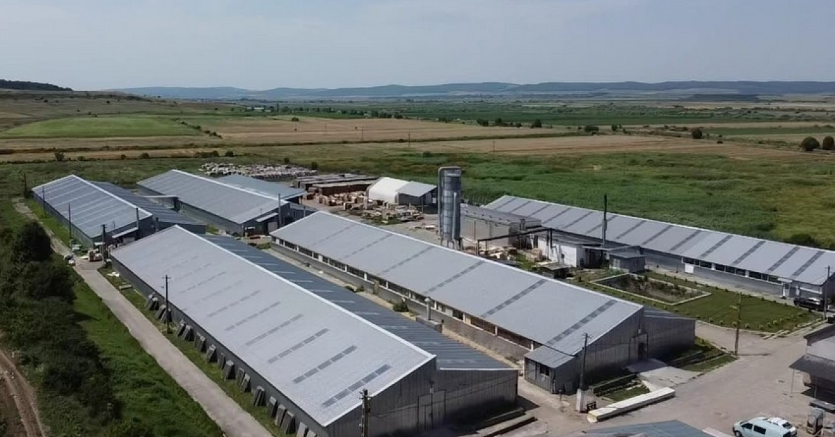 ROCA Industry cumpără producătorul de uși Workshop Doors pentru 30 de milioane de lei și ajunge la 9 companii în portofoliu