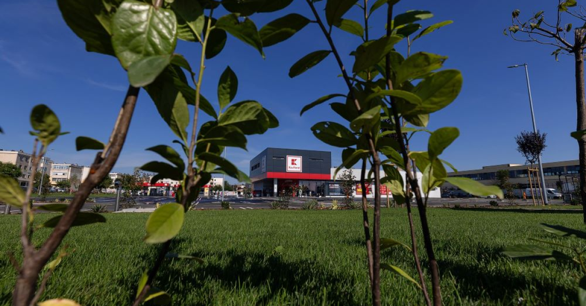 Un cunoscut retailer ajută studenții să combine teoria cu practica. Bonus: burse lunare consistente