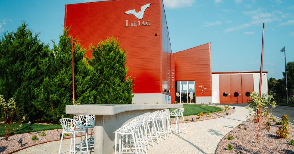 Liliac a extins crama de la Batoș cu o investiție de 3,4 milioane de euro 