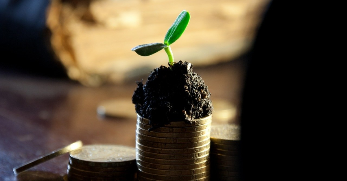 PwC: 86% dintre afacerile de familie anticipează că vor reveni la nivelul anterior pandemiei până în 2022