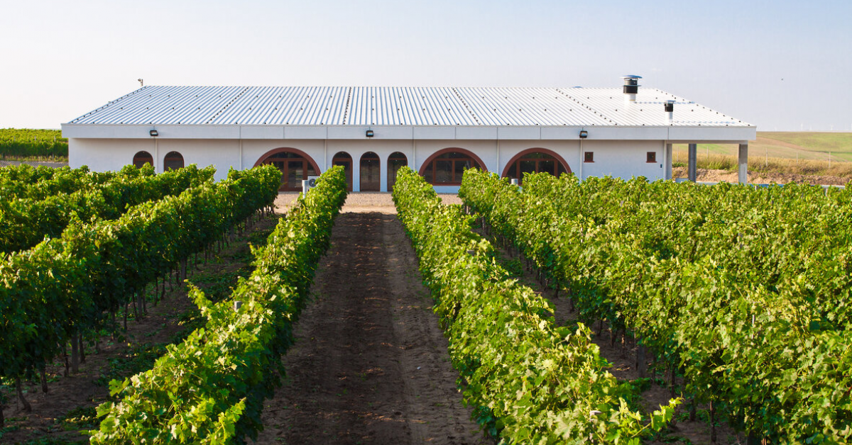 Producătorul de vin ecologic Vifrana obține o finanțare de 9,5 milioane lei cu care se extinde în străinătate și lansează o gamă de cosmetice