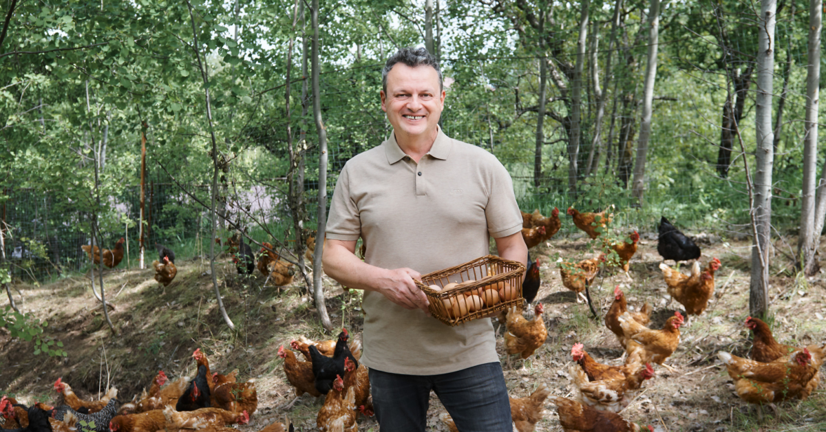 Afacerile microfermei de carne de pui OgradaVerde.ro au ajuns la 300.000 de euro, în 2020 și sunt așteptate să crească cu 20% anul acesta
