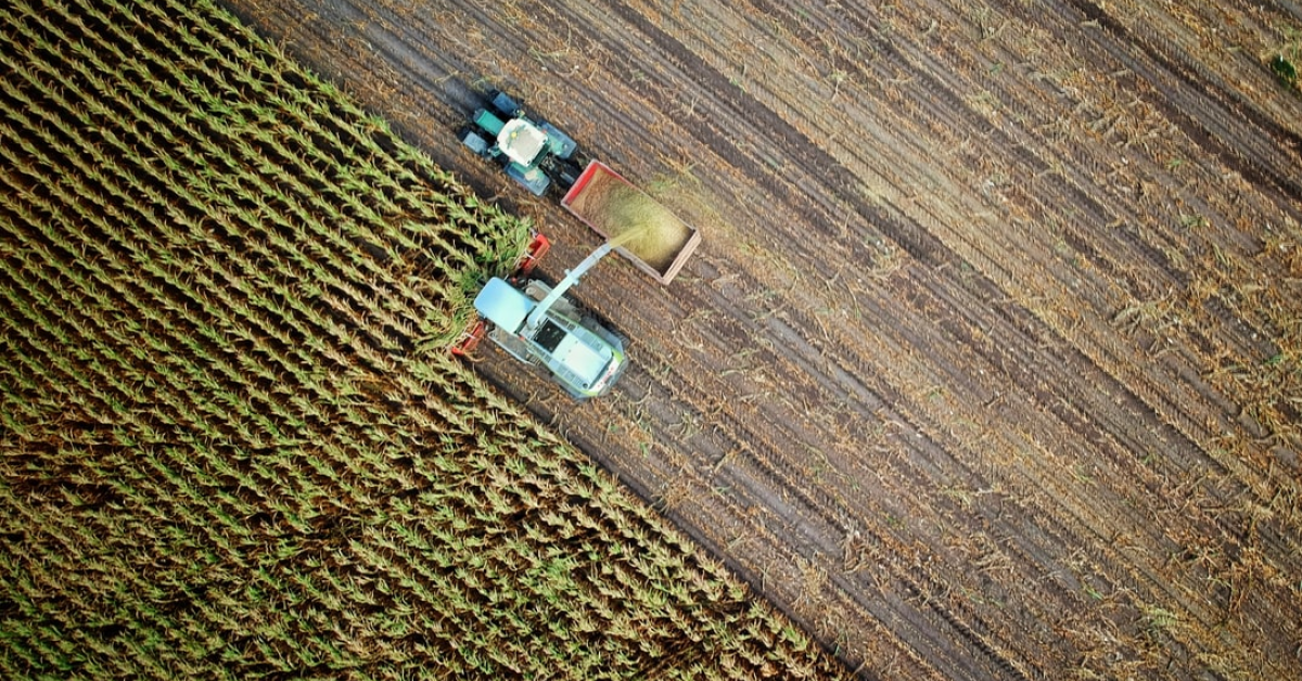 Ministerul Agriculturii alocă granturi în valoare de 183 de milioane de euro pentru investiții în procesarea produselor agricole