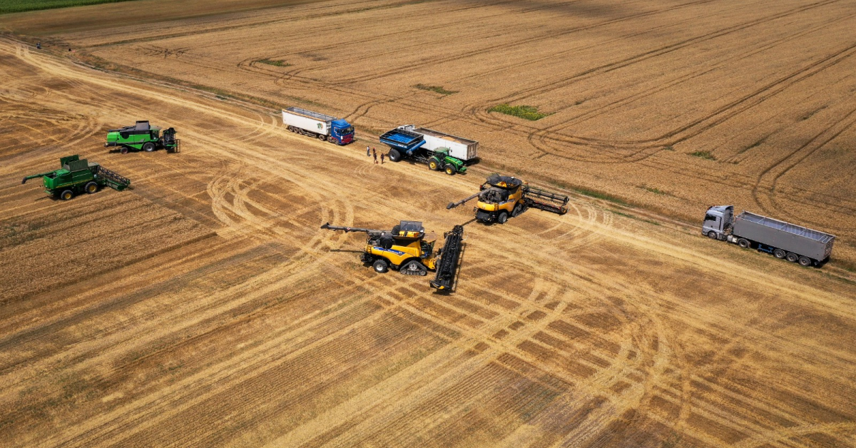 Holde Agri Invest a înregistrat o creștere de 78% a cifrei de afaceri în primele nouă luni din 2021, cu o recoltă de peste 28.000 de tone