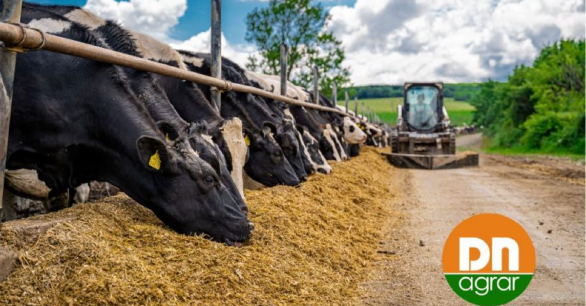 DN AGRAR Group va dezvolta ferma Straja cu 9,2 milioane de euro, credit de la Exim Banca Românească