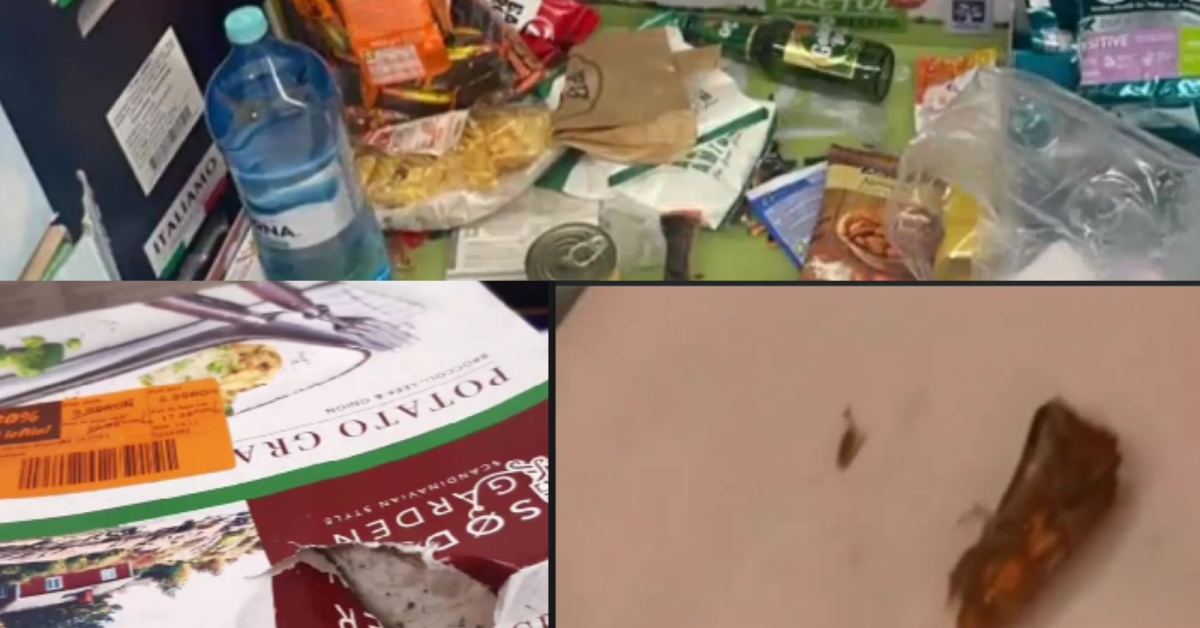 ANPC a amendat discounterul Lidl cu 35.000 de lei pentru mizerie, insecte și fructe stricate în magazine