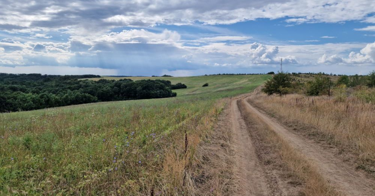 Analiză CBRE: Timiș, în topul județelor preferate de investitorii din sectorul agricol