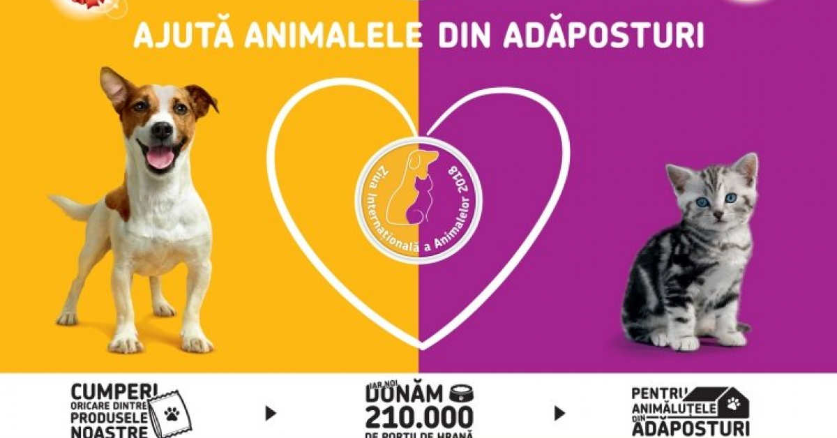 A opta campanie 