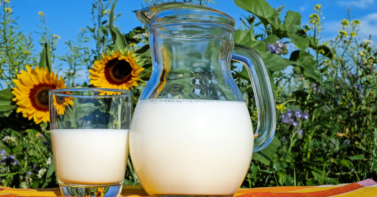 Controale ANSVSA la produse lactate și bulion: ce nereguli au fost găsite