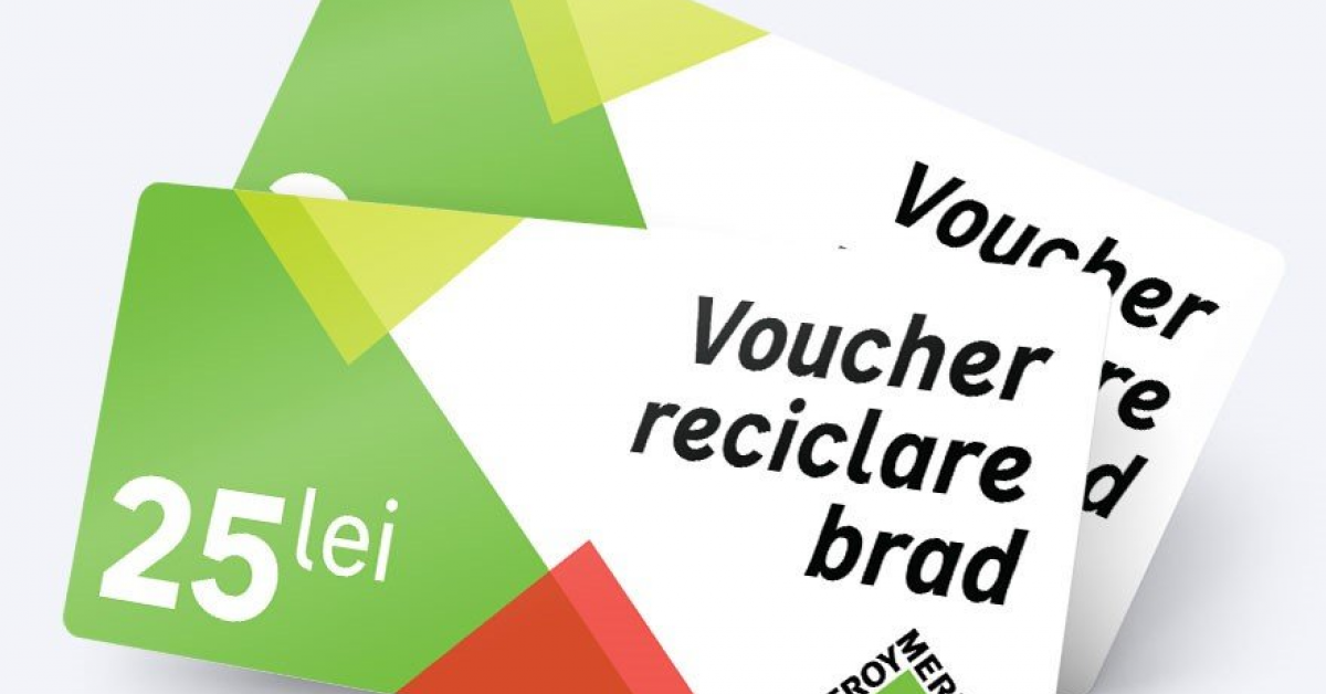 Leroy Merlin te invita sa reciclezi brazii de Craciun