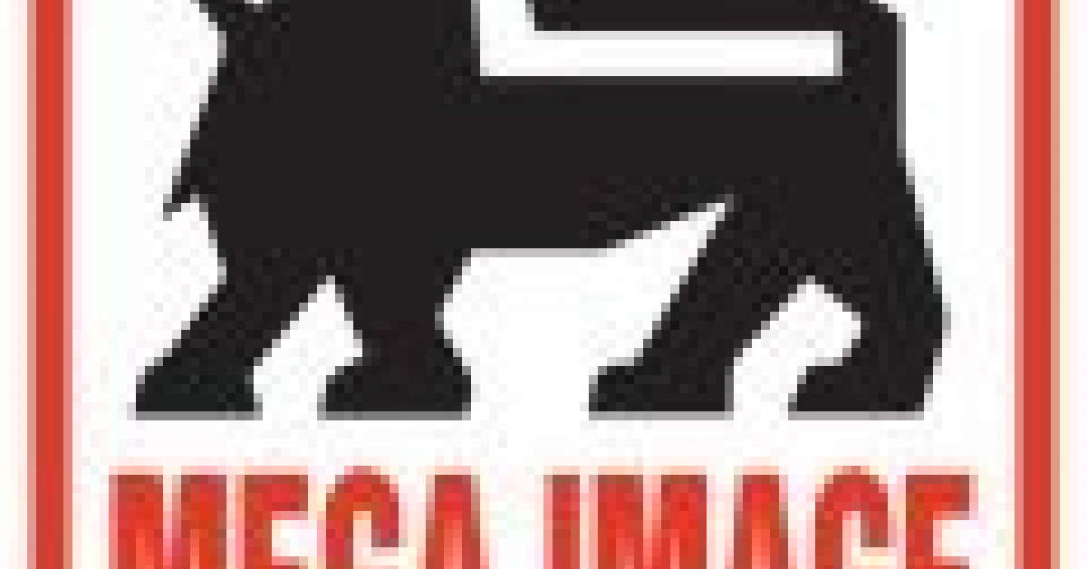 Mega Image a preluat 20 dintre cele 22 de magazine Angst