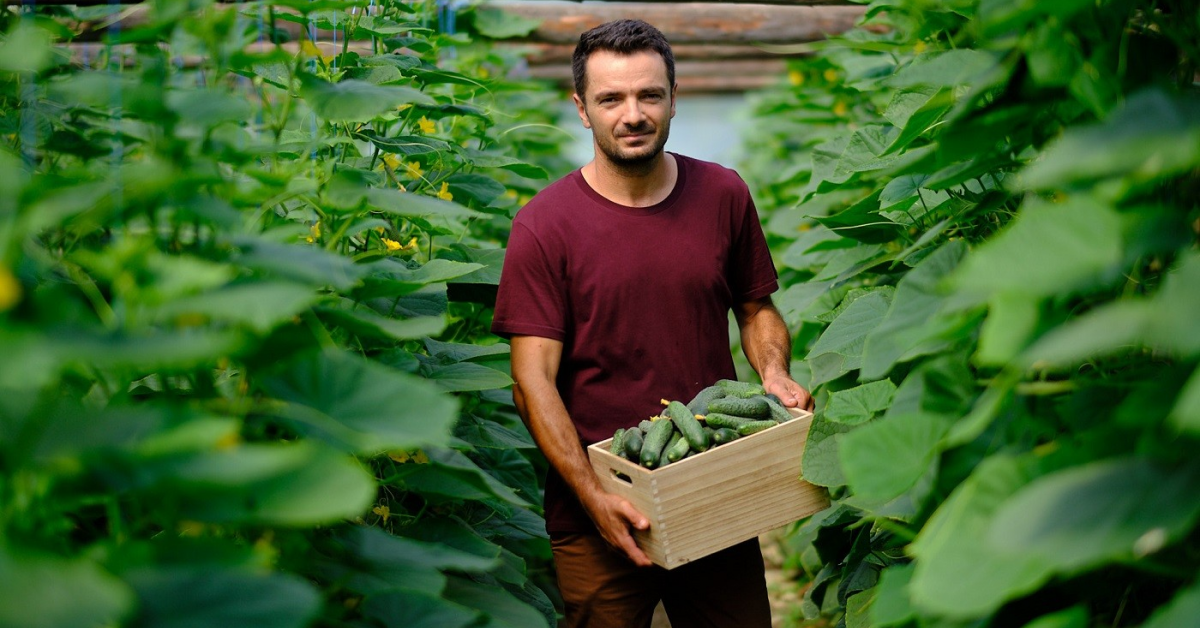 Producția de legume și fructe din programul Mega Image „Gusturi românești de la gospodari” s-a dublat anul acesta