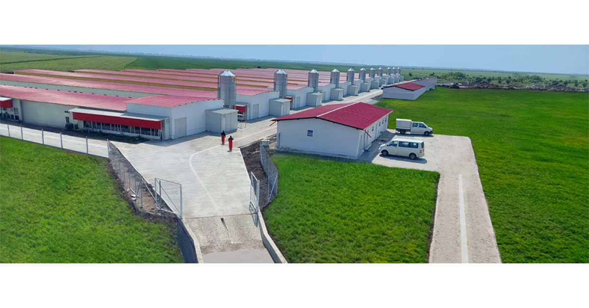 Grupul Carmistin a inaugurat o fermă de creștere a păsărilor, după o investiție de 8 milioane euro