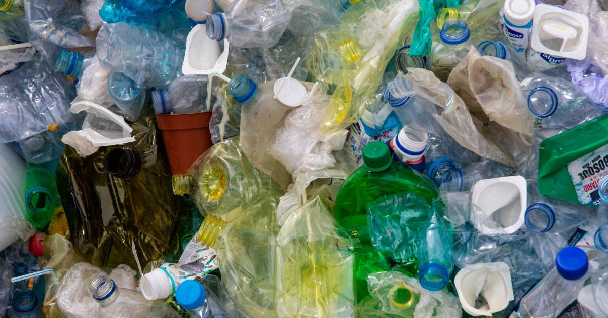 Peste 85.000 de PET-uri colectate în cadrul campaniei inițiate de Coca-Cola HBC România, Auchan și GreenPoint Management