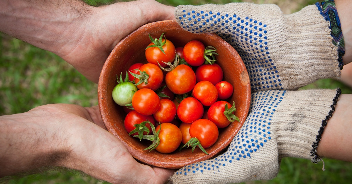 Coaliția pentru Dezvoltarea României propune guvernului „De Origine Românească - D.O.R.”, proiect pentru susținerea producătorilor agricoli locali