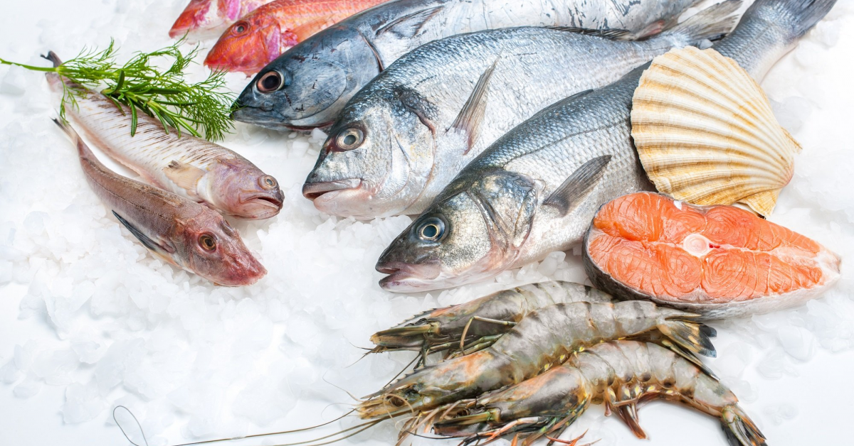 Alfredo Seafood anunta o crestere a pietei de peste cu 10%