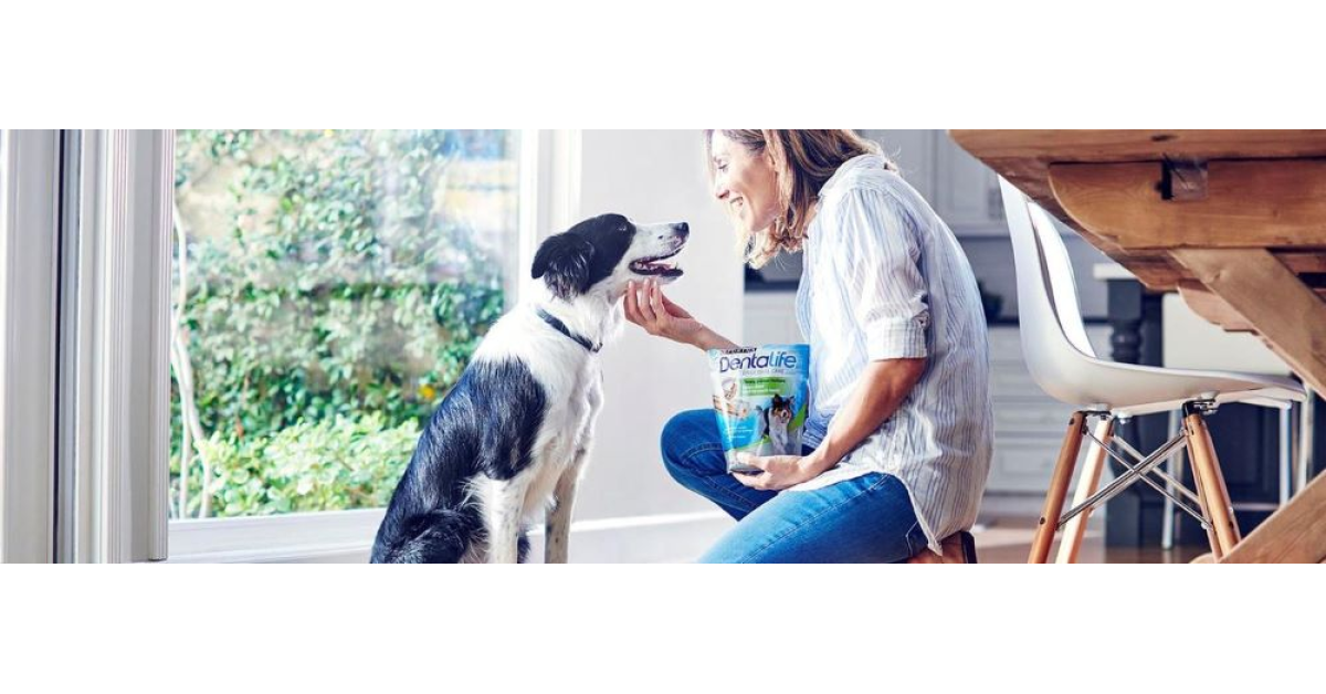 Nestlé Global raportează creștere economică pentru primele nouă luni din 2022. Care au fost cele mai vândute produse
