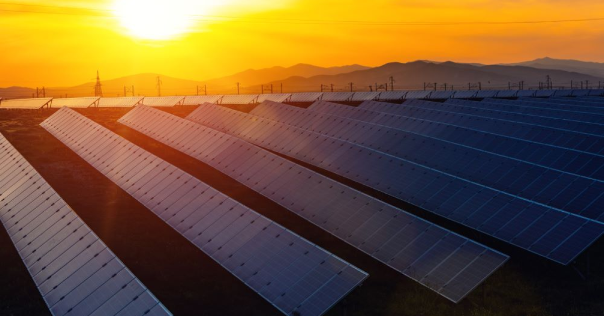NEPI Rockcastle, pe drumul spre energia regenerabilă: dezvoltatorul continuă lucrările la cel mai mare parc fotovoltaic din România