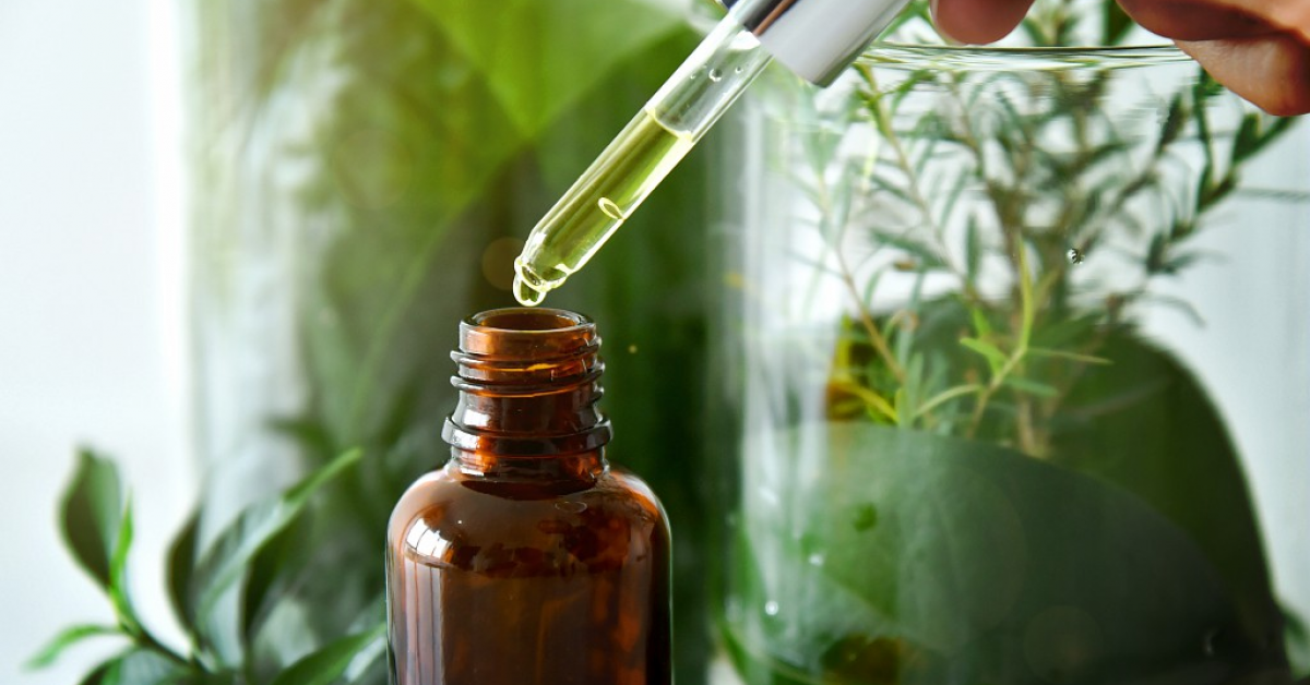 Grupul L’Oréal vrea ca 95% dintre ingredientele folosite să provină din surse regenerabile până în 2030 