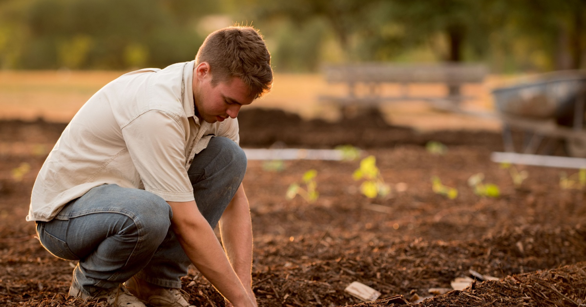 Clubul Fermierilor Români lansează înscrierile pentru programul „Tineri lideri pentru agricultură”